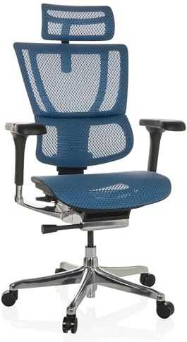 hjh OFFICE Bürostuhl ergonomisch ERGOHUMAN Slim GEN2 Originales Design, 24h Einsatz, Drehstuhl mit Flexibler Lordosenstütze, Netz Blau