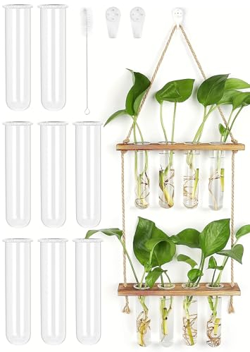 2 Étage Vase Mural, 8PCS Vase Tube à Essai, Pot de Fleur Mural en Verre, Suspension Plante intérieure avec Support en Bois, pour décoration Maison Bureau Jardin(42x20cm)