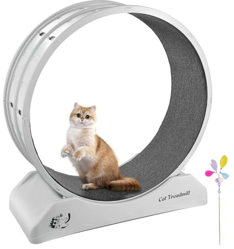 Novelfun - Cinta de correr para gatos, rueda grande de 31.5 pulgadas de diámetro, rueda de ejercicio con moqueta para gatos de interior, deporte, pasarela, fitness, control de peso, color gris