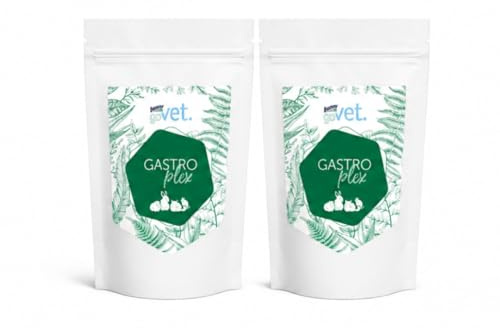Bunny goVet GASTROplex | Confezione doppia | 2 x 325 g | Mangime complementare per conigli nani, porcellini d'India, cincillà & Degus | Per sostenere il tratto digestivo
