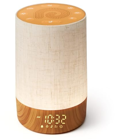 Dreamegg Sveglia da Comodino con Simulazione dell'alba, Lampada da Comodino Regolabile con Luce Calda e Fredda, 29 Suoni, Tasto Preferito, Timer, Snooze, Ideale per Camera da Letto, Novità 2026