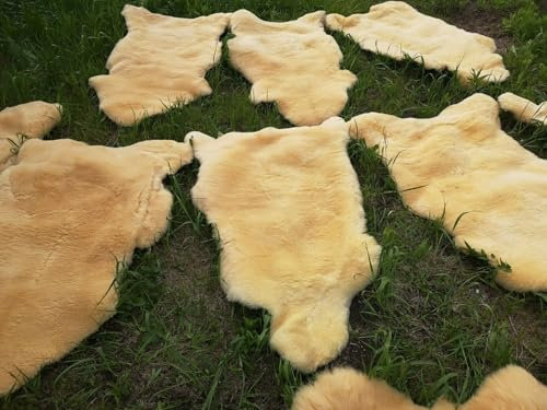 Provellus Real Medium Sheepskin Lambskin Baby Fur Relugan up to 140 cm 2nd Choice Bargain (Sheared Approx. 3-4 cm), 100-110 cm Long)