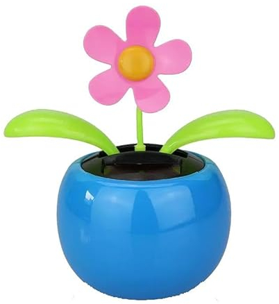 Solar-Wackelblume Flora