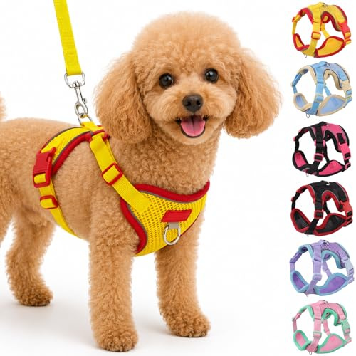 Olcyren Ensemble Harnais et Laisse pour Chien, Harnais Réglable et Réfléchissant pour Chiot, Respirant Mesh Doux Gilet, Rembourré pour Chiens de Petite et Moyenne Taille, et Chats (Jaune, S)