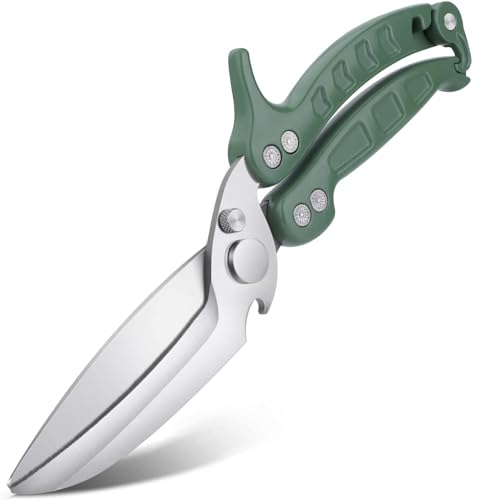 DRAGON RIOT Kitchen Scissors - Heavy Duty Green Poultry Shears for Chicken, Meat and Fish - Dishwasher Safe