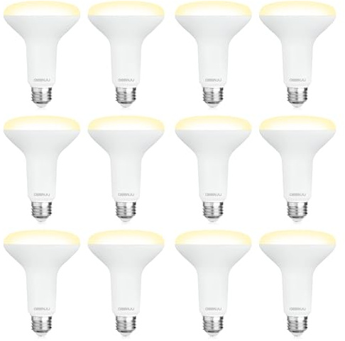 DEGNJU 12 Pack BR30 LED Recessed Light Bulb, Dimmable Indoor Flood Light Bulbs CRI80 7W Equivalent 65W 2700K Soft White 650 Lumens, 15000 Lifetime Hours E26 Base LED Can Light Bulb, Flicker-Free