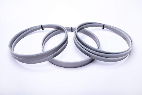 Encut - Juego de 3 hojas de sierra de cinta de alto rendimiento (2480 x 27 x 0,9 mm, 8-12 ZpZ, bimetálicas, M42)