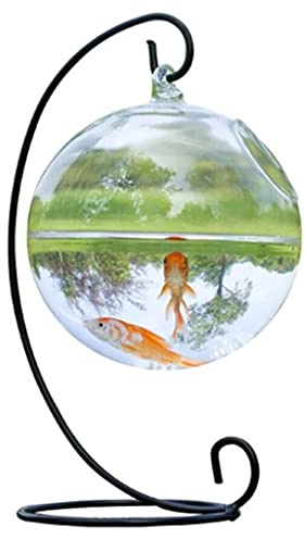 Gissroys Petit plateau de table en verre Vase créatif à suspendre Boule peu encombrant Vase pour aquarium pour décoration de la maison