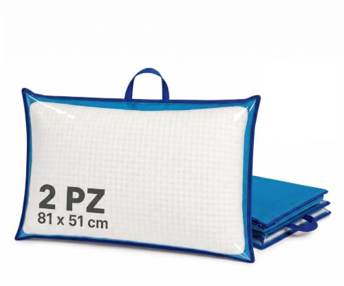 Gef Aura - 2 Pezzi Custodia Porta Cuscino 81x51 cm, Con Zip e Manico in TNT, Fronte PVC Trasparente, Busta Salvaspazio per Cuscini, Trapunte, Coperte o Biancheria, Colore Azzurro con Bordo Blu