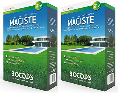 Bottos Maciste, Sementi per tappeto erboso , prato resistente e rustico ideale per zone aride 2kg per 80mq