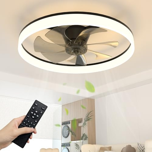 NIORSUN Ceiling Fan with Light, Ceiling Fan Light with Remote, 60cm Black