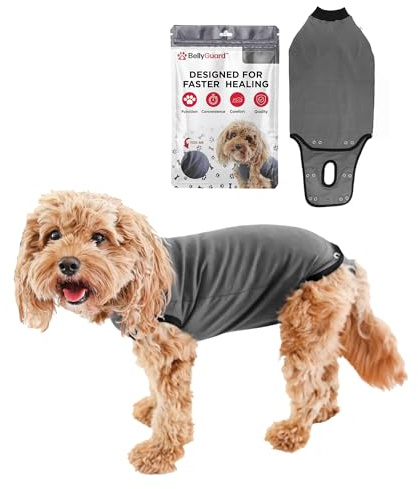 BellyGuard Recovery Suit for Dogs, Comfy Dog Surgery Suit, Female Spay and Male Neuter Onesie for Post-Op Care