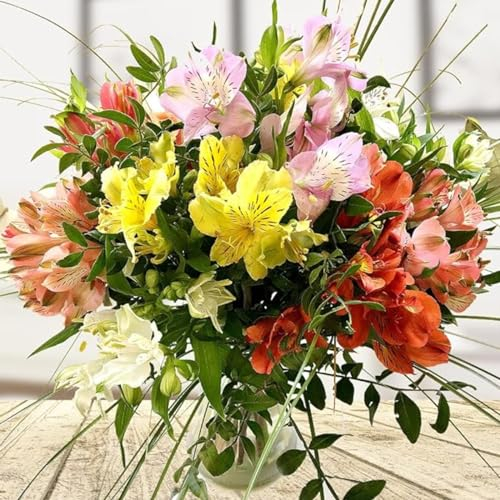 Lilium martagon zwiebeln,Winterharte,Lilien im topf,lilie riesen,lilien deko,lilien zwiebeln forever susan,lilie,duft lilien,lilien knollen,lilien zwiebeln winterhart mehrjährig.-10 zwiebeln-D