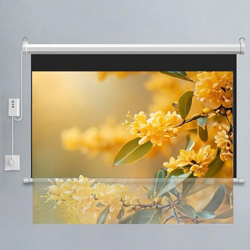 Home Theater Projektionsduk HD 4K, Antikrull Projektionsduk Med Fjärrkontroll För Hem, Skola, Bio, Teater, Utomhus Och Inomhusbruk, Vägg Och Takmonterad(72-16:9)