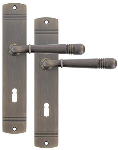 ToniTec Amy - Juego de Picaportes y Placas Largas para Puerta (1 par)