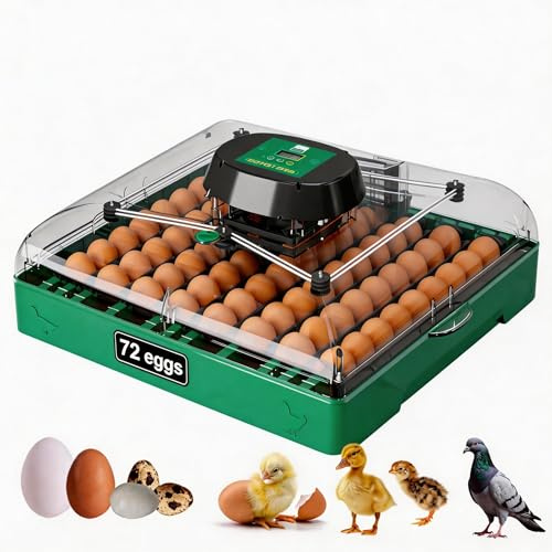 Egg Incubator for Chicken Eggs, Max 72 Egg Large Capacity with Automatic Egg Turner and Humidity Control, Egg Hatching Incubator for Chicken, Quail, Duck with 360° Clear View for Farm & Classroom