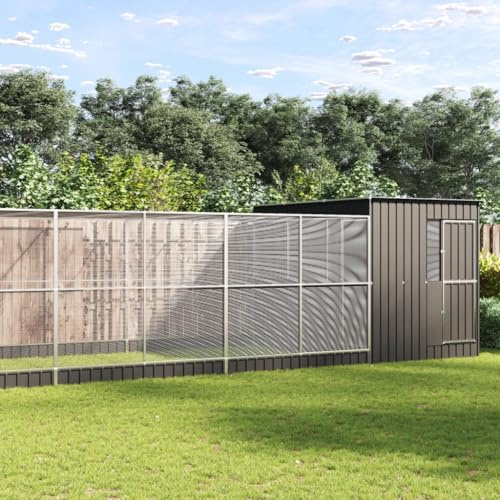 Mokuyary - Aviario con extensión de plata 1118x303x216 cm Acero, aviario al aire libre jaula para pájaros, canarios, pinzas, periquitos ondulados, inseparables