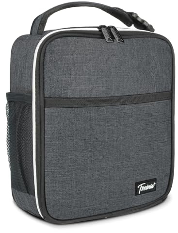 Kato Tirrinia kylväska liten, isolerad 4,5 l (9 burkar) lunchväska för resor arbete skola, bärbar minikylbox lunchlåda väskor för vuxna barn, träkol