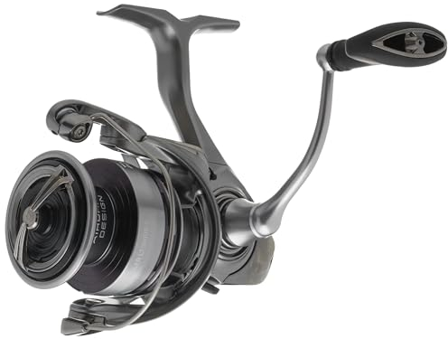 Daiwa EXCELER 1000 LT Spin Reel, 5BB + 1, 5.2: 1