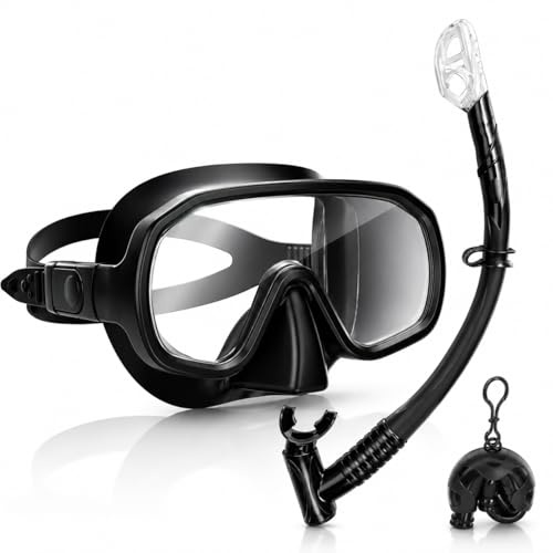 Qingning Snorkelset för vuxna, snorkelset med snorkel och dykglasögon, dykmask och torrsnorkelset, vattentät dykmask med torr snorkel för snorkling, dykning (svart)
