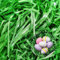 Herbe de Pâques, Darryy 200g Papier Déchiqueté Vert, Papier de Remplissage Cadeau, Remplissage Panier Cadeau, Raffia Remplissage, pour Panier de Pâques Nids de Pâques Coffret cadeau de Pâques