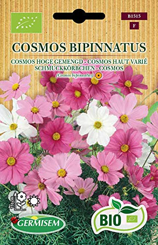 Germisem Biologico Cosmos Bipinnatus Semi di Cosmos 2 g