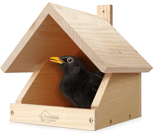WILDLIFE HOME Amsel Nichoir semi-abierto en madera maciza atornillada | Media cavidad resistente a la intemperie y no tratada | Comedero para pájaros para colgar para media caverna, petirrojo, etc.