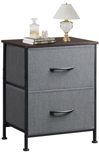 WLIVE Nightstand, 2 Drawer Dresser for Bedroom, Small Dresser with 2 Drawers, Bedside Furniture, Night Stand, End Table with Fabric Bins for Bedroom, Closet, Entryway, College Dorm, Dark Grey