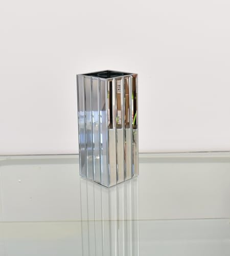 Deenz Strip Mirrored Vase For Small Bouquets Of Fresh Roses Flowers Square Design Glass Waterproof For Real Plants 10X10X25Cm Home Decor