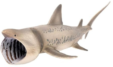 Hai-Figuren realistisch – Hai-Spielzeugtiere, Tier-Spielzeugfiguren | Meerestiermodelle für Sammler, Kinder und pädagogische Ausstellungsstücke mit Weißen Haien, Hammerhaien und Meeresbewohnern (21,3