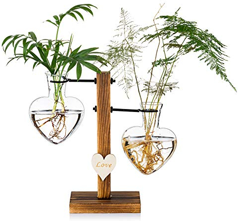 Glass Plant Terrarium with Wooden Stand, Creative Double Heart Glass Hydroponic Vases, Modern Plant Propagation Station Desktop Planter Bulb Vase for Home Garden Office Decoration