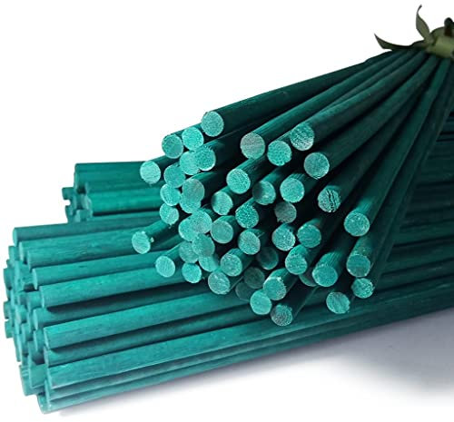 Elixir Gardens Green Split Canes Support Sticks Plant Garden Lily Bulb Flower | 12 inch, 24 inch or 36 inch Lengths | Quantities 10-1000 | 36 x 10