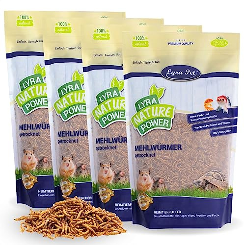 Lyra Pet® 4 x 1 kg de vers de Farine séchés | Nourriture Riche en protéines | pour Oiseaux Sauvages, rongeurs, Reptiles & Poissons | Source d'énergie pour Insectivores | Vitamines & minéraux