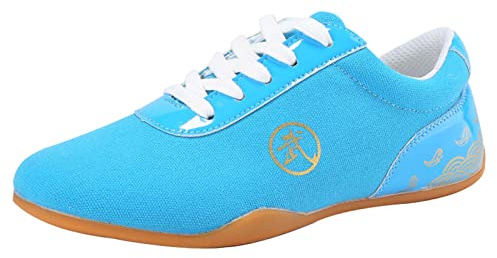 Chinese Traditional Cloth Kung Fu Shoes,Taekwondo Shoes Martial Arts Sneaker for Women Men Kong Fu Taichi,Blue,45