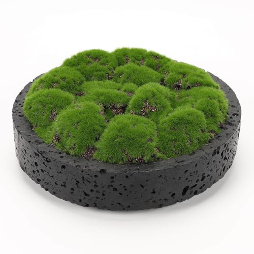 NAHARO New Moss Bowl,8''Handmade Cement Bowl–Artificial Moss Centerpiece for Home Decoration, Living Room, Office, or Coffee Table Display