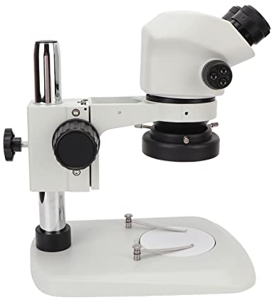 Kit Microscopio Binoculare, Stereomicroscopio Binoculare Montato in Avanti 2 10X 22 Oculari Stereomicroscopio Binoculare Professionale, Vetrini (Spina europea)