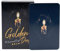 FmtwPhn 2 Box 9x6,2cm Fortune Golden Deep Lenormand Tarot, Tarot-Geschenk Für Tarot-Liebhaber, Tarot Wahrsagerei Orakelkarten, Lenormand Kartendecks, Lenormand Karten Für Anfänger