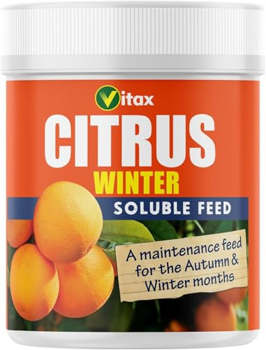 Vitax Citrus Winter Feed Soluble Fertiliser for Citrus Plants Prevents Leaf Fall & Discolouration Promotes Healthy Growth in Winter- Ideal for Indoor Use in Greenhouses & Conservatories-200g Tub