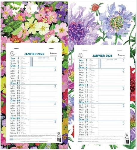 Exacompta - 1 Plaque Calendrier Mensuel Long - Motif Fleurs - Janvier 2026 à Décembre 2026 - Format 19 x 41 cm - 2 Visuels Aléatoires