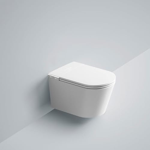 Upphängd japansk toalett - W390