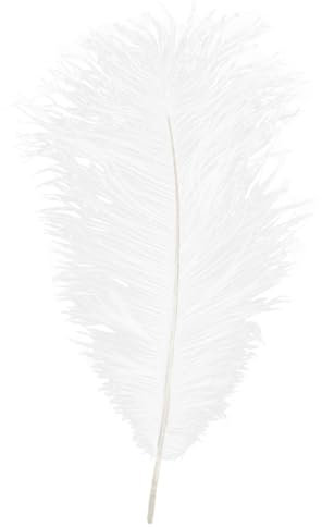 Adefeect SM Federkitzler Feder Tickler für Brust Hintern,Liebhaber Flirten SM Bondage Erwachsener Sexspielzeug Erotische Rollenspiele für Paar Anfänger (weiß)