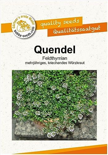 Kräutersamen Quendel Feldthymian Portion