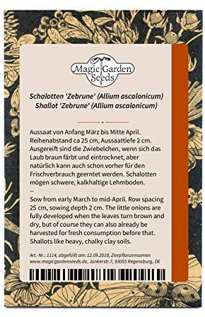 Scalogno 'Zebrune' (Allium ascalonicum) - circa 100 semi