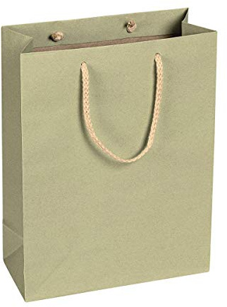 Lot de 12 sacs en papier kraft avec anse en coton Vert sauge 22 x 29 x 10 cm