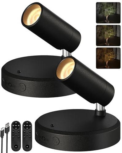 EZVALO Foco LED Inalámbrico, Aplique de 5500 mAh con Mando a Distancia y Temporizador, 3 Temperaturas de Color, Ideal para Iluminar Dormitorios, Cuadros y Plantas de Interior (2 Pieza, Negro)