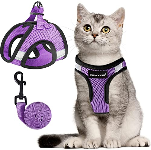 Kattsele, kattkoppel och sele set för promenader rymningssäker, sele för små katter/små hundar, stor kattunge/valpsele och koppel, sele för katter S-XXL (modern violett, X-Large)