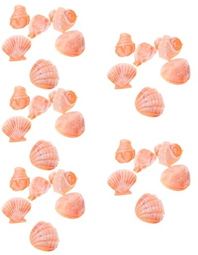 SUPVOX 30 Pièces Coquille de conque Artificielle Coquillages pour des projets artistiques décor de thème de Plage de Mariage Petites coquilles en Spirale remplisseur de Bol côtier Orange