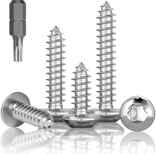 HXJDAM 100 Pezzi Viti per Lamiera in Acciaio Inox, M5 x 40mm Viti a Testa Bombata, A2 V2A Testa Piatta Torx Viti per Legno, Viti a Testa Tonda Filettatura Completa, Viti Autofilettanti in Acciaio Inox