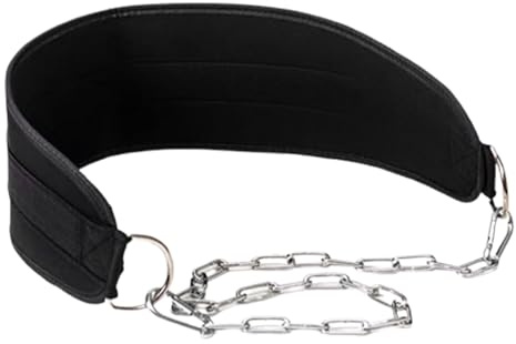 Cintura per sollevamento - Cintura per dip fitness | Supporto Cinture per sollevamento, Squat, Catena in acciaio Protezione della vita Allenamento Macchina ponderata per Calisthenics Attrezzatura