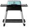 Everdure HBG2MDE FORCE? Gasgrill Mint